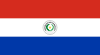 Paraguay Primera Division
